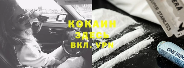 мяу мяу кристалл Ельня