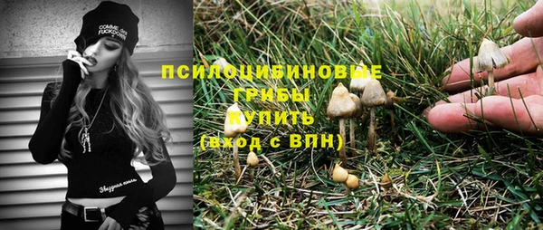 мет Елизово