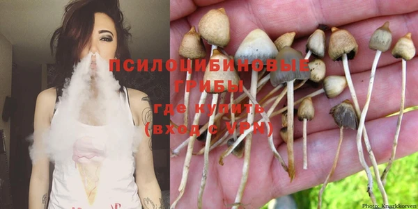 мет Елизово
