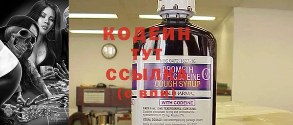 мет Елизово