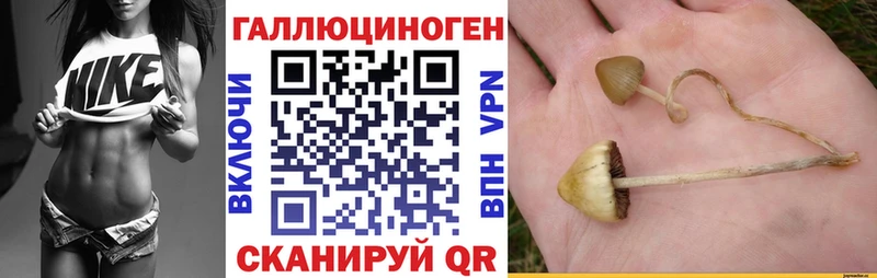 Галлюциногенные грибы MAGIC MUSHROOMS  Купить закладки  Саранск 